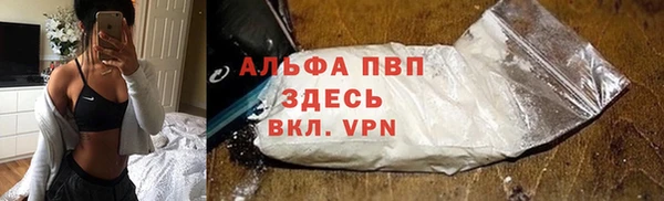 стаф Беломорск