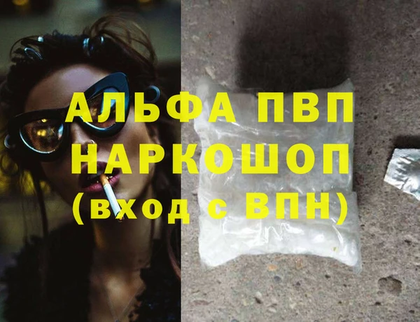 стаф Беломорск