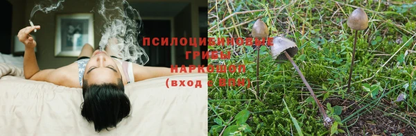 стаф Беломорск