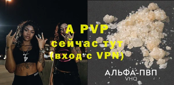 прущие грибы Снежногорск