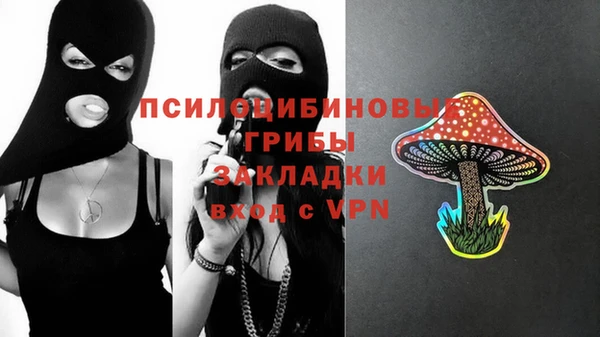 стаф Беломорск