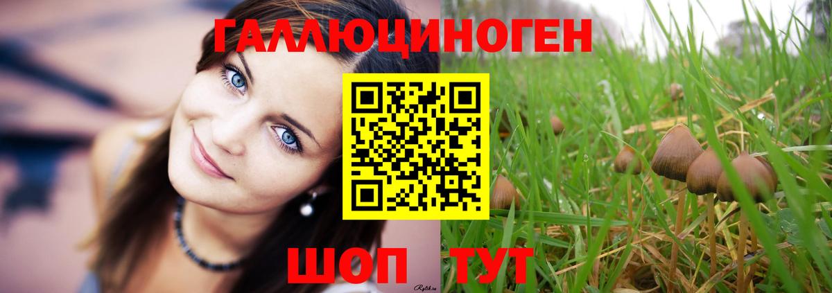 Галлюциногенные грибы мицелий  Вход с VPN  Кувандык 