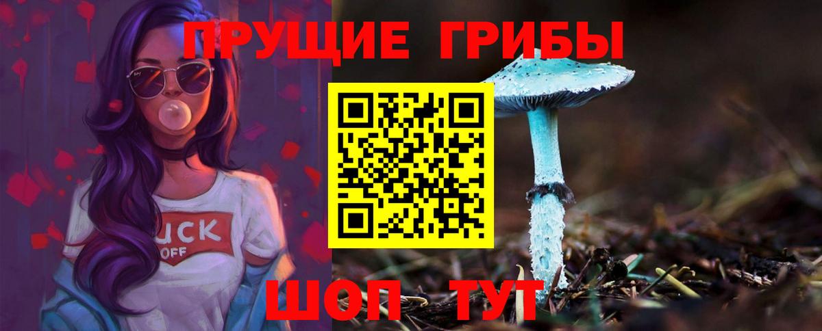 Галлюциногенные грибы Psilocybine cubensis Кувандык